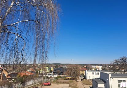 Bliżniak, mieszyń