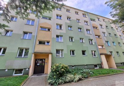 3 pokojowe mieszkanie na wynajem na os. kmiecie