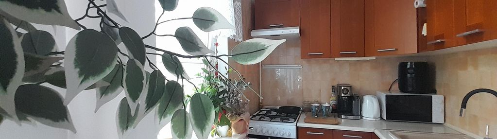Okazaja, kawalerka blisko metra kondratowicza