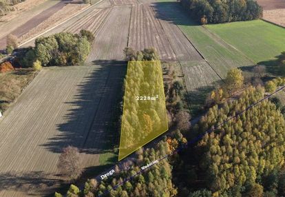 Zadrzewiona działka rolna blisko wkry