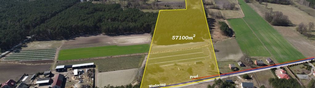 Spełnij marzenie o własnym! – 5,7 ha w leśniakach