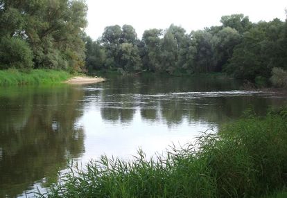 Działka nad bugiem
