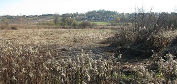 Kraków działka rolna 72a -skotniki