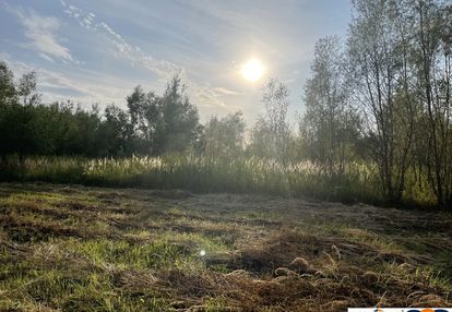Działka budowlana 4113 m² w sierakowie.