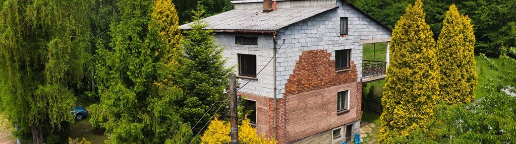Piękne i zaciszne miejsce koło lasu