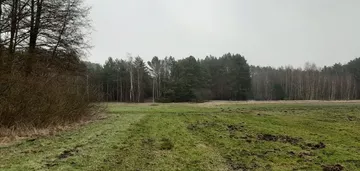 Działka na sprzedaż 7800m2