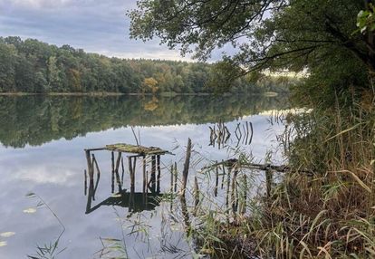 Działka z bezpośrednim dostępem do j.wapieńskiego