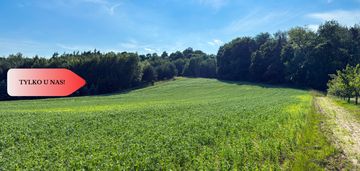 Tylko u nas! działka 1,13 ha gruczno media wz