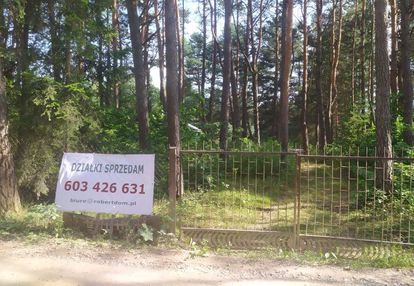 Działka w lesie.