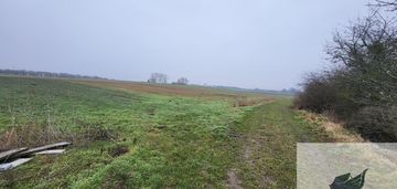 Warzymice / działki po 3000 m2
