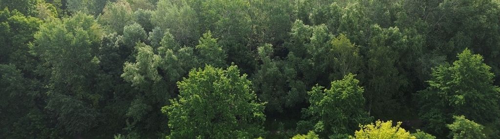 Na sprzedaż 50% udziałów działka sołacz
