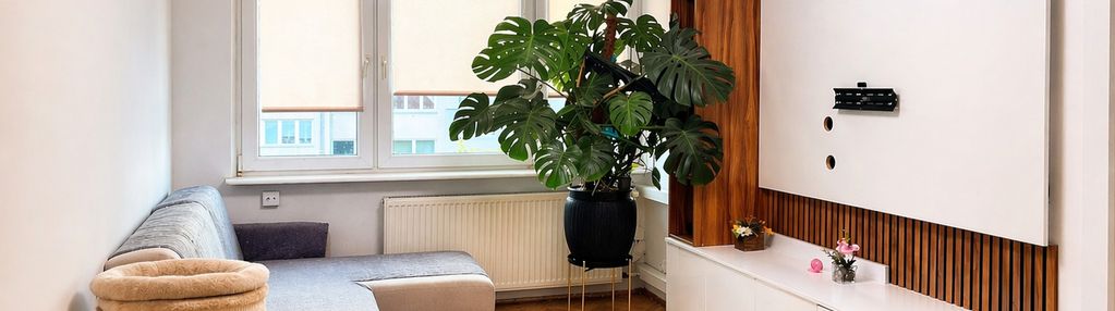 2 pokoje,  spółdzielcze własnościowe - gdynia