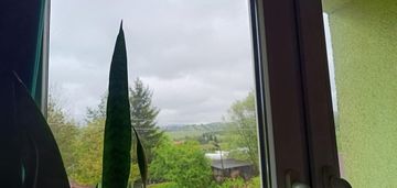 Widok  na góry sowie,  baza wypadowa . cisza!