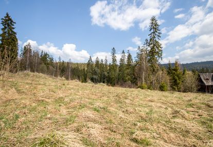 Widokowa działka z lasem. 4046m2. nowy targ.