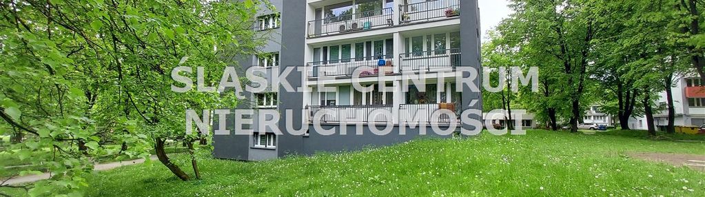 Katowice tysiąclecie park śl. niski blok 2 pokoje
