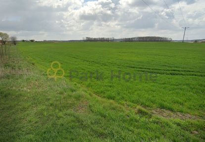 Duża działka na duży dom