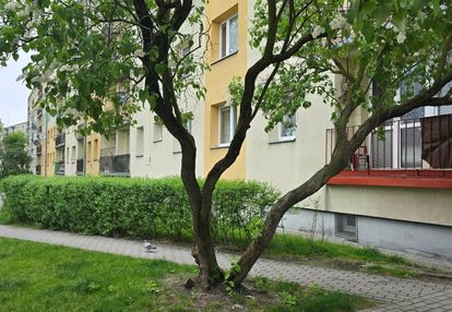 Mieszkanie na zamianę, parter.