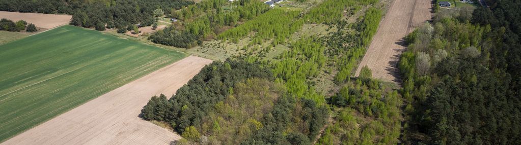 Urokliwa działka w błędowie niedaleko jeziora