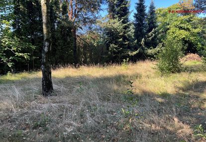 Działka w żorach przy ulicy tęczowej