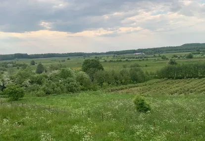 Działka na sprzedaż 4840m2