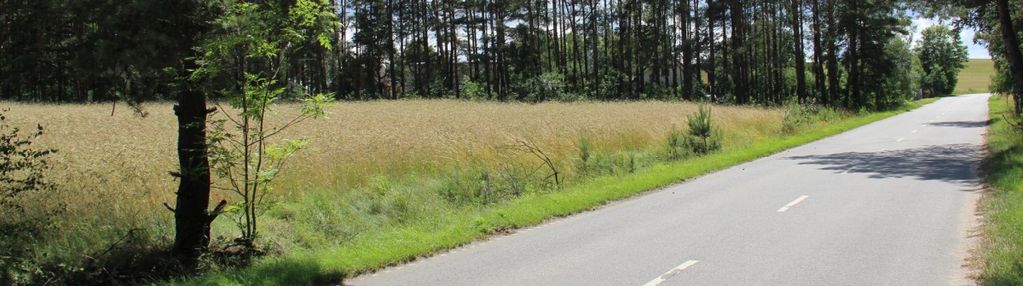 Pakiet trzech działek z wz-ką (total 2213m2)