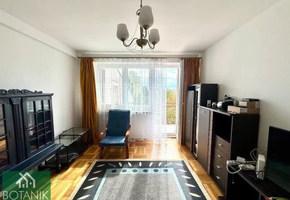 Trzy pokoje do wynajmu felin