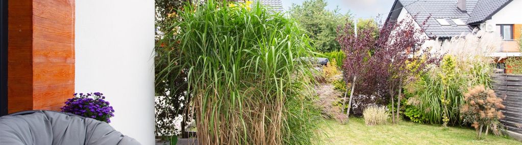 Komfortowe 4pok. z ogródkiem w malowniczej okolicy