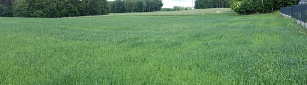Działka budowlana z pozwoleniem – kowalew