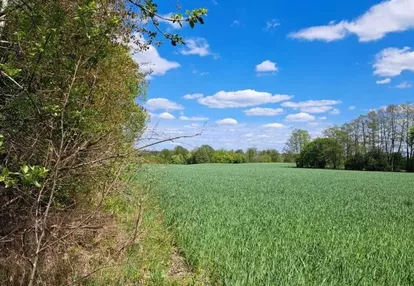 Działka na sprzedaż 3000m2