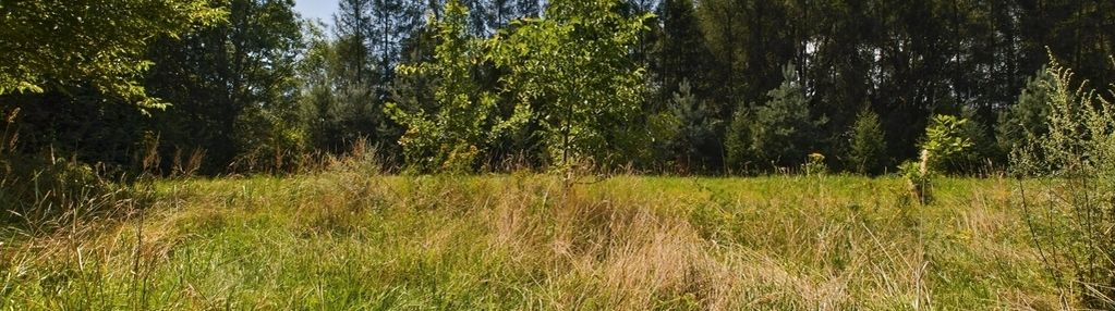 Ostatnia działka na sprzedaż w lenarcicach