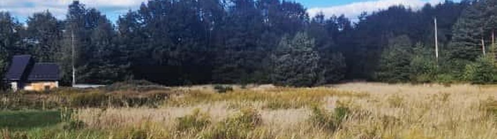 Działka pod twój wymarzony dom w leśnej scenerii