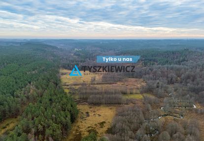1,8 ha łąk z linią brzegową rzeki wieprza