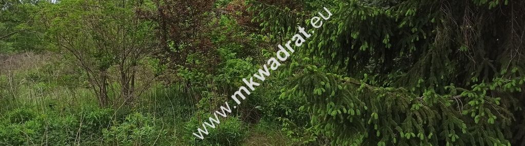 Działka pod mieszkaniówkę lub usługi