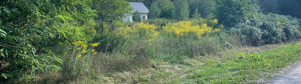 Cicha działka pod dom 30 min. od warszawy