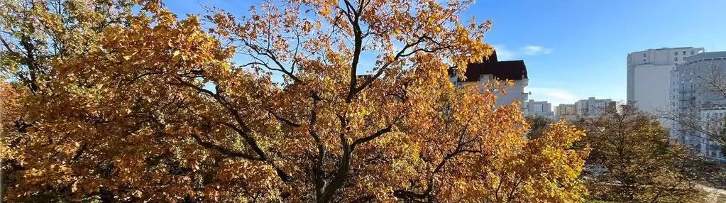 Piękne przytulne do wynajęcia na Tarchominie