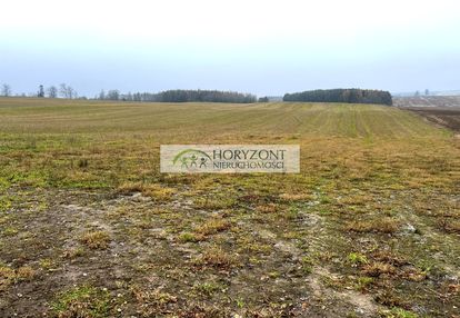 Działka borcz gm. somonino 2 ha