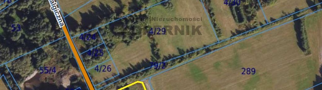 Siedlisko blisko torunia!!!!