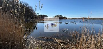 Działka przy lesie i wodzie