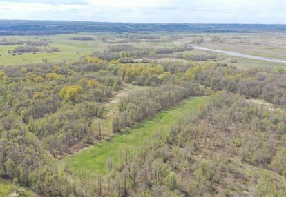 Okazja | pastwisko + las gratis | idealna pod krus