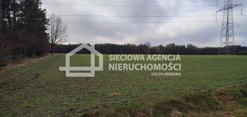 Działka rolna ponad 2 ha, kowalewo k/szemudu