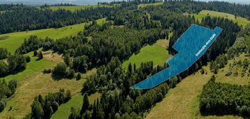 Działki leśne  sieniawa