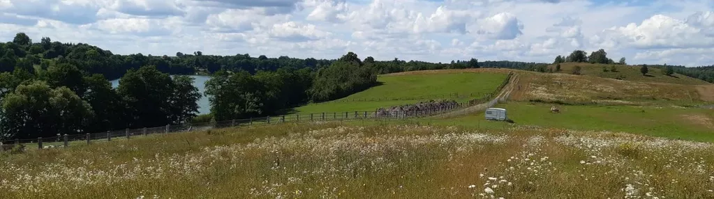 Działka na sprzedaż 3000m2