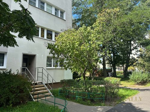 Ustawne 3 pokoje z osobną kuchnią |