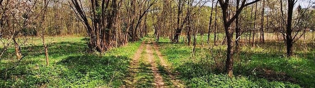 Doświadczaj beskidów - 60 arów naturalnej wolności