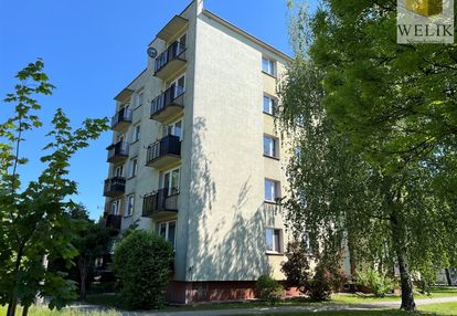 Mieszkanie w centrum