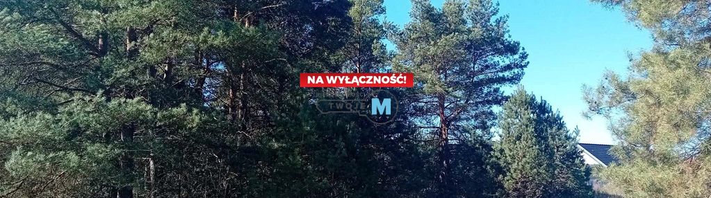 Nieruchomość nad zalewem z prywatnym lasem!