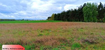 Morzewiec 1022m cisza spokój ściana lasu