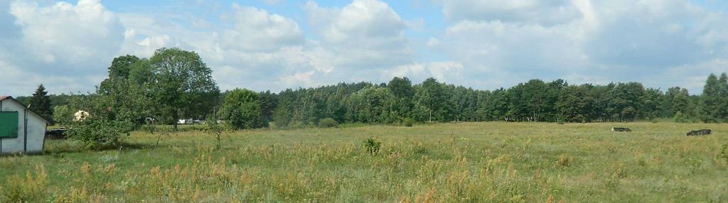 Dąb mały 1020m2 obok parku krajobrazowego