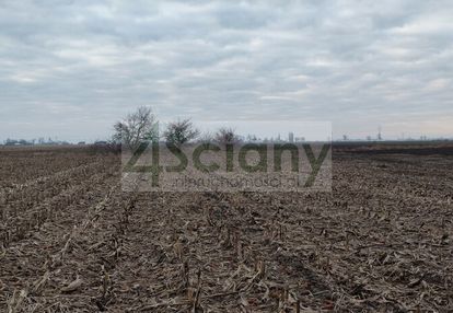Działka zmeliorowana w zaborówku
