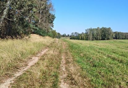 Atrakcyjna działka w sąsiedztwie jeziora stubnica